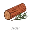 Cedar