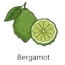 Bergamot