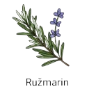 Ružmarin